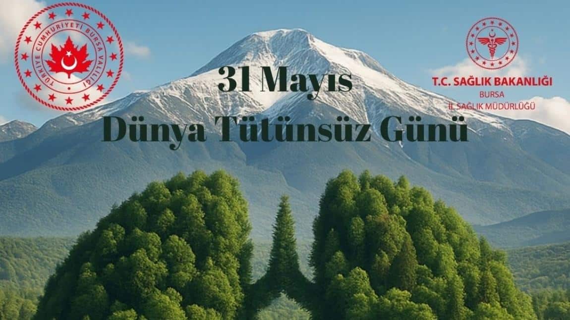 31 Mayıs Dünya Tütünsüz Günü